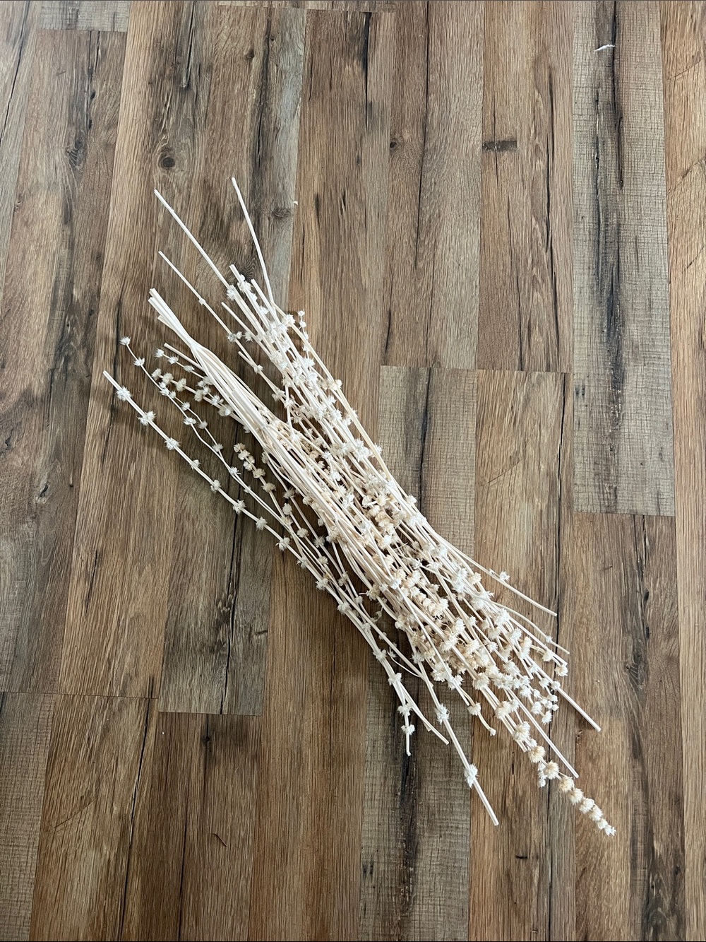 Cream decorative branches